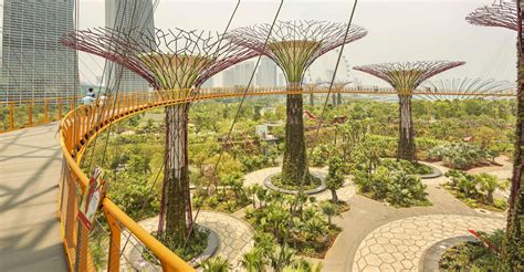 Gardens by the Bay Ticket Price for Foreigners: A Detailed Guide to Explore the Oasis