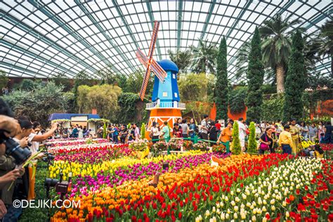 Gardens by the Bay Tulips: A Stunning Floral Extravaganza