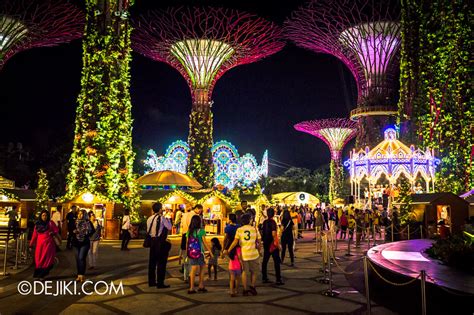 Gardens by the Bay Winter Wonderland: A Spectacular Light Up