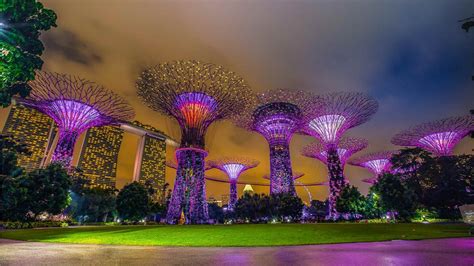 Gardens by the Bay to Marina Bay Sands: An Enchanting 5,000-Step Journey