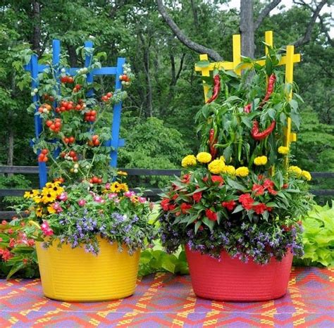 Gardens to Go Creating and Designing a Container Garden Doc