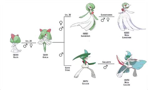 Gardevoir Evolution Chart