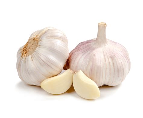 Garlic PDF