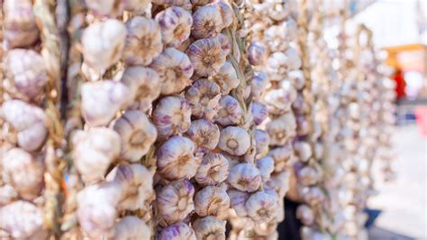 Garlic Capital of the World: Gilroy, California