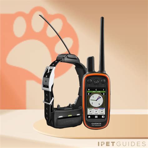 Garmin GPS Dog Fence 2025: Ultimate VS Comparative Review