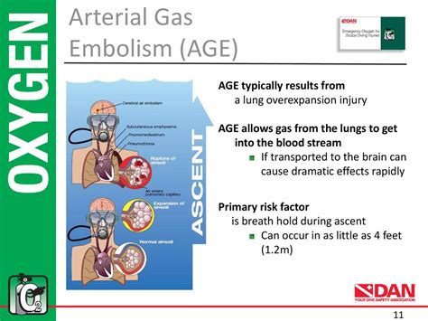 Gas Age PDF