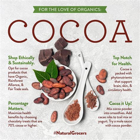 Gassy Cocoa: A Nutritional Powerhouse with Gastrointestinal Benefits