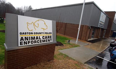 Gaston Animal Shelter North Carolina: Caring for 1000+ Animals in 2023