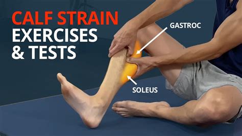 Gastrocnemius Exercises: Strengthen Your Calves for Enhanced Performance and Injury Prevention