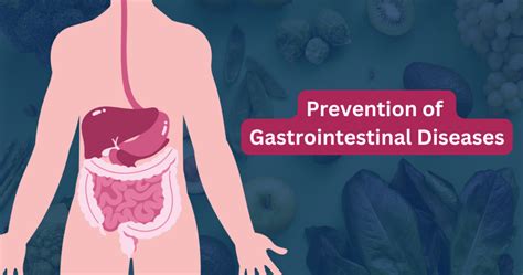 Gastrointestinal Diseases Risk Factors and Prevention Kindle Editon