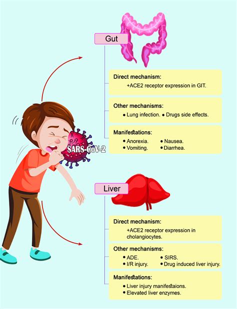 Gastrointestinal and Hepatic Infections Reader