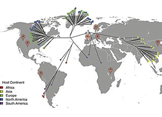 Gate 21: Unlocking the Mysteries of the Human Microbiome