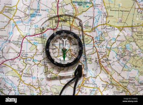 Gather My Bearings: The Ultimate Guide to Finding Your Way