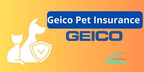 Geico Pet Insurance: Unleash the Power of Peace of Mind for Your Furry Family