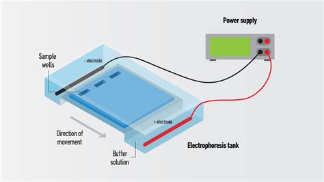 Gel Electrophoresis: A Comprehensive Guide to Gel Res 9