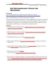 Gel Electrophoresis Virtual Lab Answer Key PDF