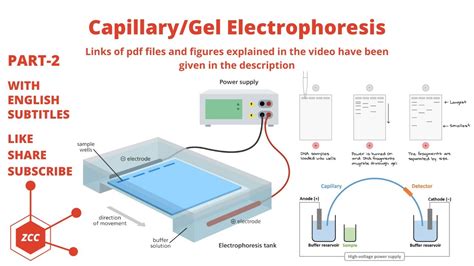 Gel Resolution 9: Achieving Superior Resolution in Electrophoretic Separation