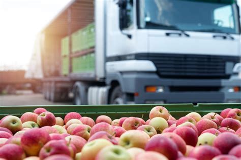 Geladeiras para Caminhão: Um Guia Completo para Transportar Produtos Perecíveis com Segurança e Eficiência