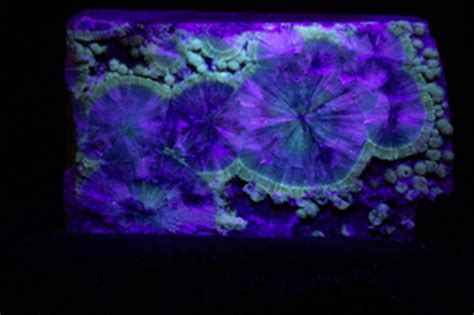 Gems That Radiate: A World of Fluorescence