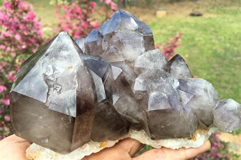 Gems and Crystals Near Me: Discover a Realm of Beauty and Energy