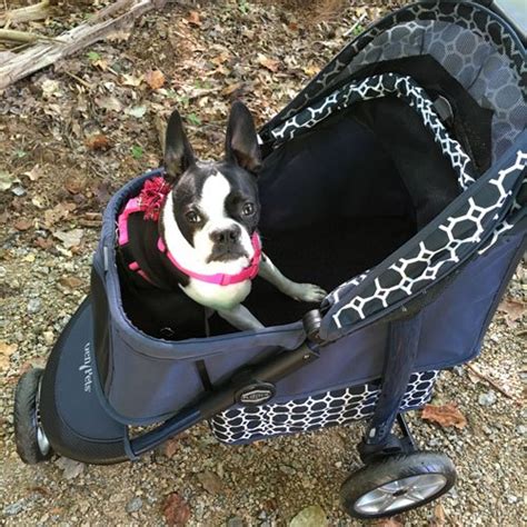 Gen7Pets Stroller: The Ultimate Guide for Pet Parents