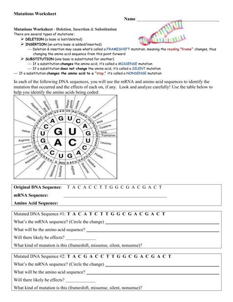 Gene Mutation Activity Answer Key Reader