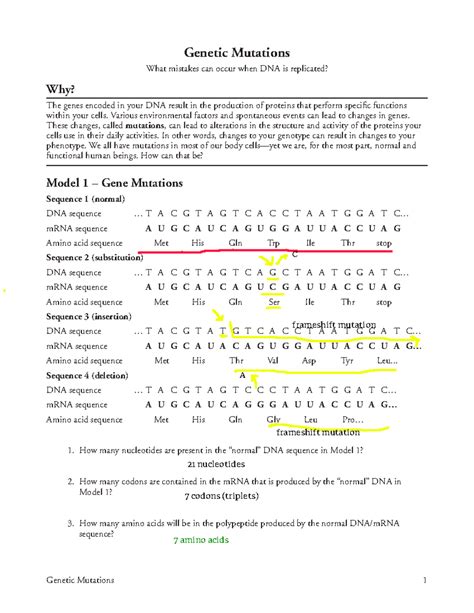 Gene Mutation Worksheet Answers Doc