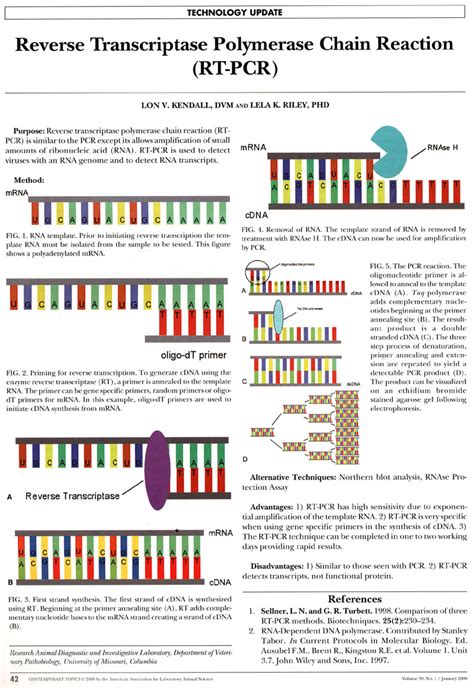 Gene Quantification 1st Edition Epub