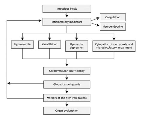 General Pathology Multiple Choice Questions With Answers Epub