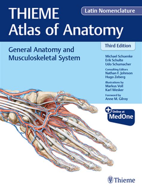 General.Anatomy.and.Musculoskeletal.System.THIEME Ebook Doc