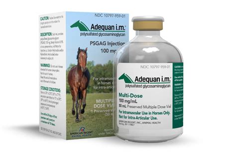 Generic Adequan for Horses: A Comprehensive Guide