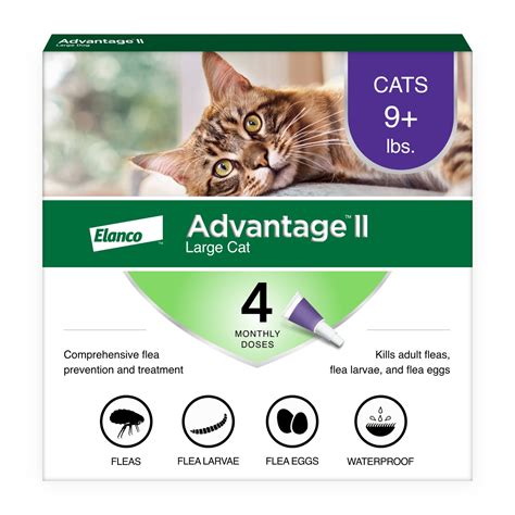 Generic Advantage II for Cats: Redefining Feline Health and Well-being