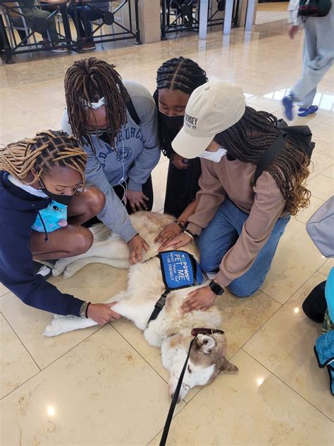 Genesis of the PAWS Program