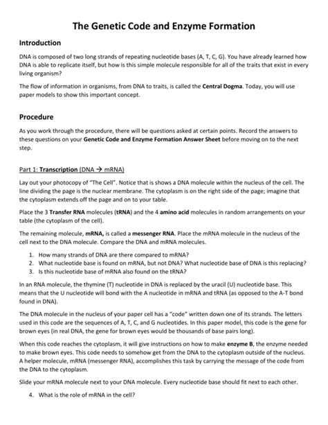 Genetic Code And Enzyme Formation Answer Reader