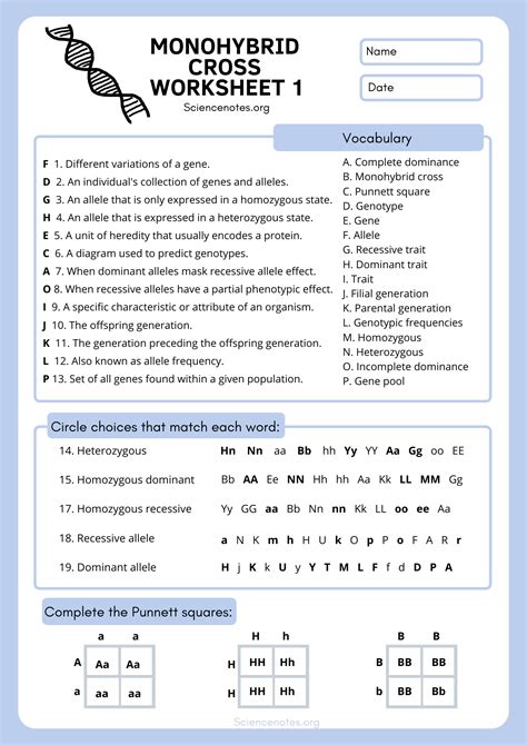 Genetic Crosses Answer Sheet Doc