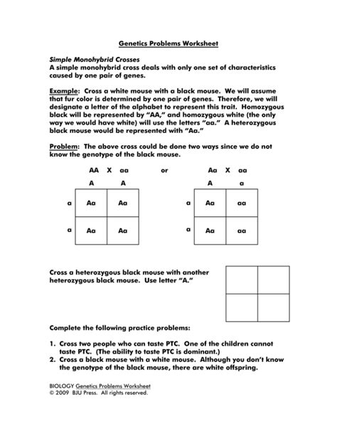 Genetic Crosses Worksheet Answer Key PDF