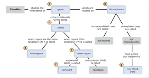 Genetic Disorders Concept Mapping Answers Key Reader