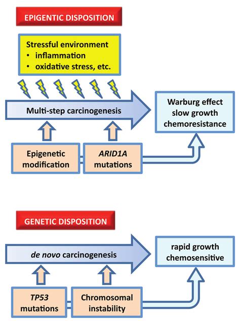 Genetic Disposition: