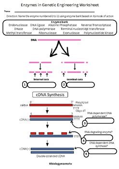 Genetic Engineering Answer Key 13 1 Epub