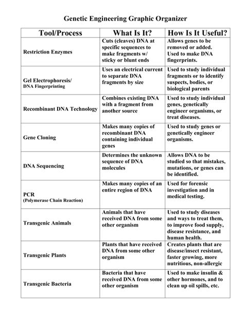 Genetic Engineering Graphic Organizer Answers Epub