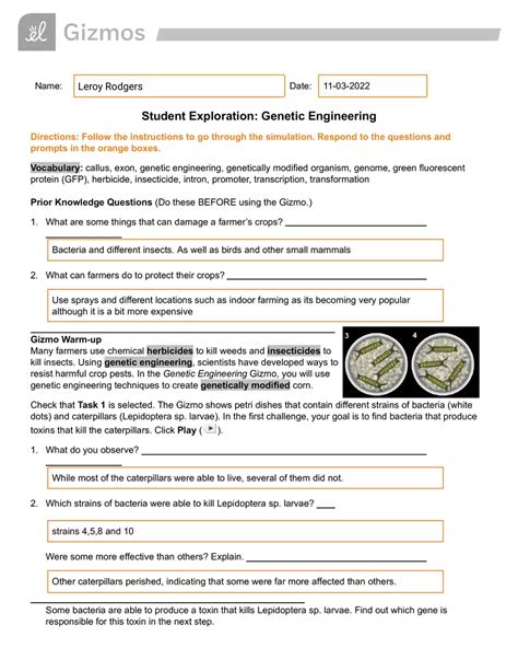 Genetic Engineering Section Review Answer Key Doc