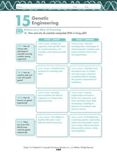 Genetic Engineering Vocabulary Review Answers PDF