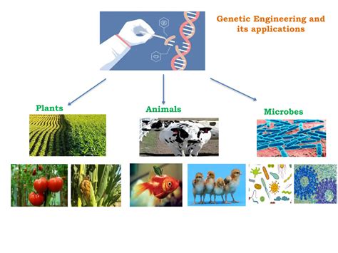 Genetic Engineering and Its Applications Doc