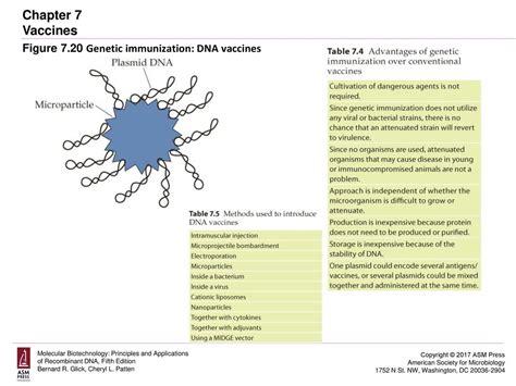 Genetic Immunization Reader