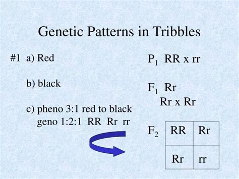 Genetic Patterns In Tribbles Answers Kindle Editon