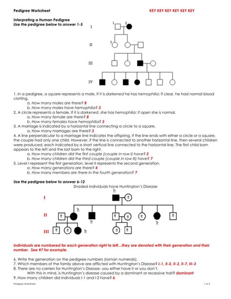 Genetic Pedigree Worksheet Answers PDF