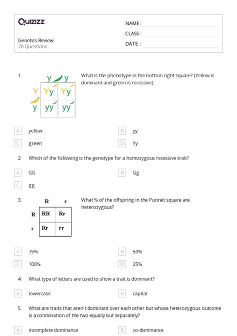 Genetic Variation Worksheet 16 1 Answers Epub