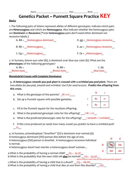 Genetic Worksheet Answers Reader