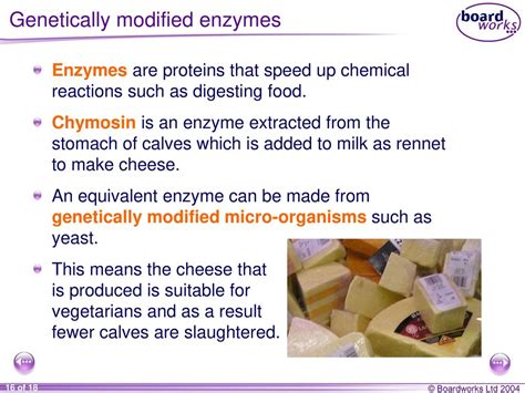 Genetically-Engineered Proteins and Enzymes from Yeasts Production Control Reader