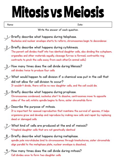 Genetics Comparing Mitosis And Meiosis Answers Reader